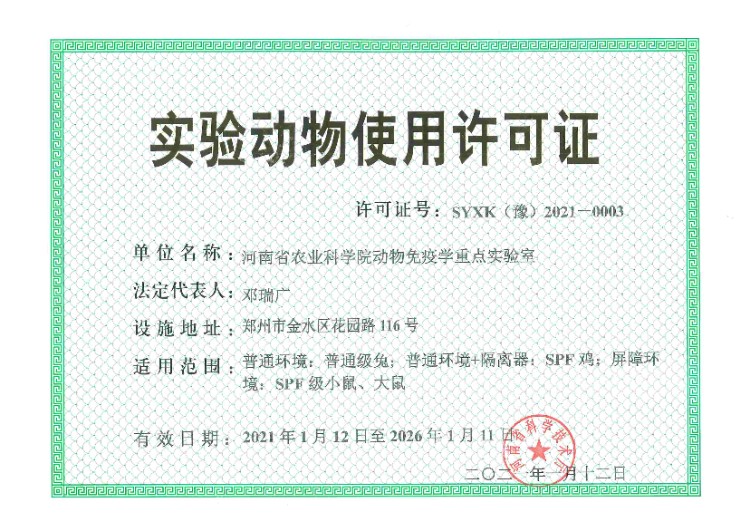 2021使用许可证(1)